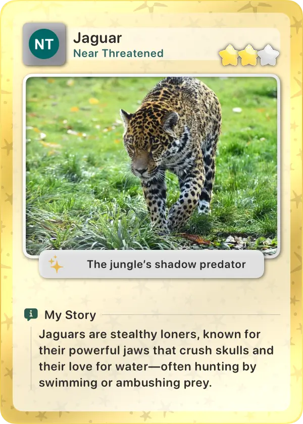 Animal Card 2